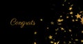 Image of congrats text and stars on black background