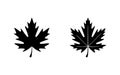 Two Black Maple Leaf Silhouettes Nature Autumn Fall Design Icons Vector Royalty Free Stock Photo