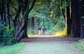 Image of couple with dog walking through the woods from behind Royalty Free Stock Photo