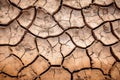 Image of cracked dry land, representing drought and climate change, lack of water and rain. Generative AI