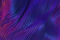 Abstract gradient puple and blue wavy texture