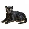 Image created with AI, black leopard It is a subspecies of leopard.