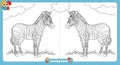 Zebra Coloring Book for Kids with Fun Designs Royalty Free Stock Photo