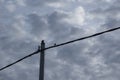 Crow perching on the street electric pole cable. Royalty Free Stock Photo