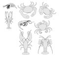 Image of crustacean animal set