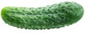 Image of cucumber on white background. Royalty Free Stock Photo