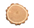 Acacia - A slice of wood representing profile of cut tree. oak Royalty Free Stock Photo