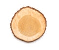 Oal - A slice of wood representing profile of cut tree. oak Royalty Free Stock Photo