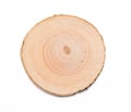 A slice of wood representing profile of cut tree. oak Royalty Free Stock Photo