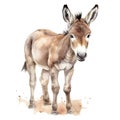 Cute donkey watercolor illustration, animals and farm clipart