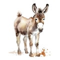 Cute donkey watercolor illustration, animals and farm clipart