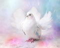 cute exotic fantasy dove is in pastels on a light background.