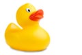 Image of a cute rubber duckling Royalty Free Stock Photo