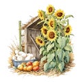 Cute sunflowers watercolor illustration, animals and farm clipart