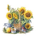 Cute sunflowers watercolor illustration, animals and farm clipart