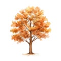 Cute watercolor autumn fall orange tree, illustration