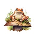 Cute watercolor frog illustration, woodland animals clipart Royalty Free Stock Photo