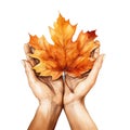 Cute watercolor hands holding fall maple leaf, illustration