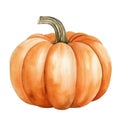 Cute watercolor pumpkin fall halloween, illustration