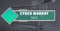 Image of cyber monday sale text over shopping trolley Royalty Free Stock Photo