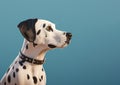 Image of a dalmatian dog on light blue background. Mammals. Pet. Animals