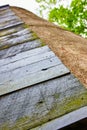 Dark wood textured planks with green moss and mold growing on wall of clay tower Royalty Free Stock Photo