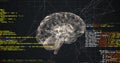 Image of data processing over digital brain spinning Royalty Free Stock Photo