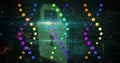 Image of data processing over dna strands and padlock Royalty Free Stock Photo