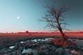 an image of a dead tree in the middle of a field