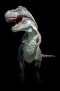 Full figure of a deadly tyrannosaurus rex on black background