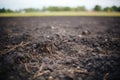 image of deep black chernozem soil in a field Royalty Free Stock Photo