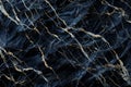 Image of Deep black marble pattern with white veins. Texture for background usage Royalty Free Stock Photo