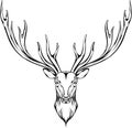 Image of a deer head with branchy horns.