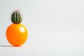 An image of a delicate balloon on top of a prickly cactus. An expression of fragility and protection Royalty Free Stock Photo