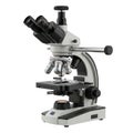 Advanced laboratory microscope with multiple eyepieces and adjustable stage Royalty Free Stock Photo