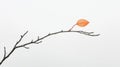 A single orange leaf on a bare branch. Royalty Free Stock Photo