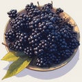 Juicy Black Grapes in a Bowl