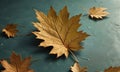 close-up view large, vibrant maple leaf against dark green background, with smaller leaves scattered around.