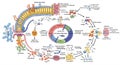 The image depicts a complex biochemical pathway, featuring cyclic and linear chains Royalty Free Stock Photo