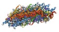 This image depicts a complex molecular model of a protein structure. It features an Royalty Free Stock Photo