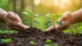 Green Business: Adopting CSR and Planting for a Sustainable Future Royalty Free Stock Photo