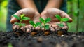 Corporate Social Responsibility and Eco-Friendly Practices: Planting for a Sustainable Future Royalty Free Stock Photo