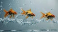 Leap to Success: Conceptual Goldfish Jumping for Improvement