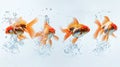 Leap to Success: Conceptual Goldfish Jumping for Improvement