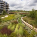 Green Infrastructure - Green Roof or Rain Garden