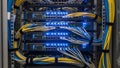 Network switch rack with connected cables Royalty Free Stock Photo