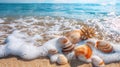 Seashells on Seashore: A Serene Beach Holiday Background Royalty Free Stock Photo