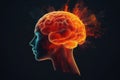 Brain Overload: Exploring the Effects of Cognitive Overload on Mental Health - A Psychology and Neurology Concept