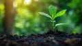 Carbon Offset Subscription: Recurring Contributions to Offset Emissions & Support Projects