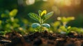 Recurring Carbon Offset Subscription: Contribute to Emission Offsets and Support Projects